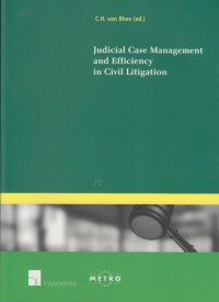 Judicial Case Management and Efficiency in Civil Litigation